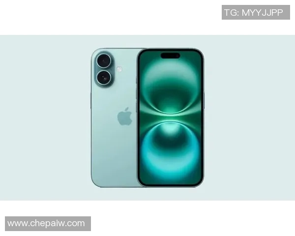 15与17的对比分析17与18的性能差异与应用场景探讨